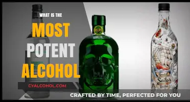 Exploring the Strongest Spirits: A Guide to the World's Most Potent Alcohols