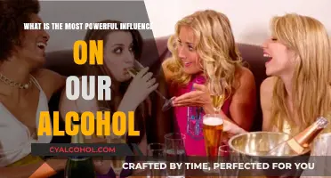 How Society Normalizes Alcohol Consumption