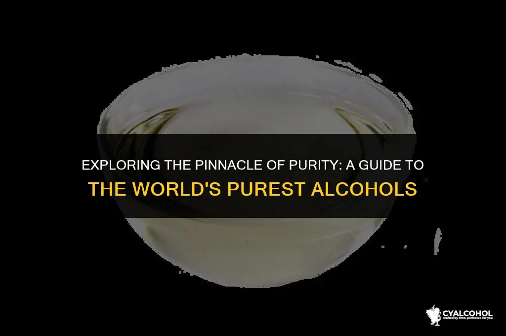 what is the most pure alcohol
