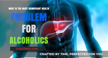 Alcoholism: The Health Impact and Key Concerns