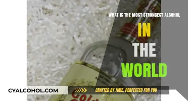 Exploring the World's Strongest Alcoholic Drinks