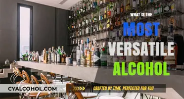 Exploring Versatility: The Ultimate Guide to Choosing the Perfect Alcohol