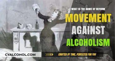 The Anti-Alcoholism Reform: A Movement for Sobriety