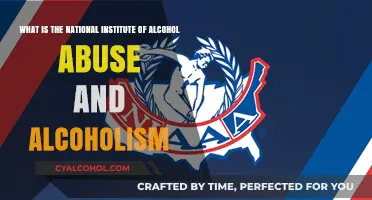 Understanding the NIAAA's Role in Alcohol Abuse Research