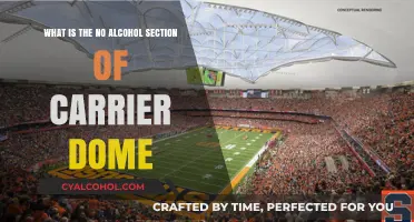 Carrier Dome's Alcohol-Free Section: What's the Deal?