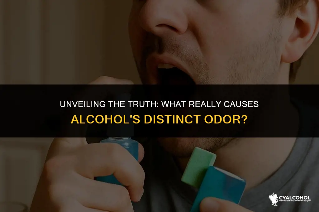 what is the odor of alcohol