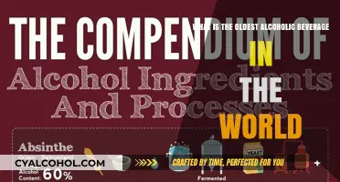 Alcohol's Ancient Origins: The World's Oldest Drink