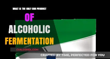 The One Product of Alcoholic Fermentation