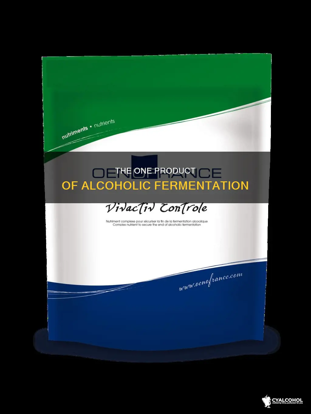 what is the only end product of alcoholic fermentation