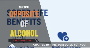 Exploring Sobriety: The Opposite of Alcohol and Its Benefits