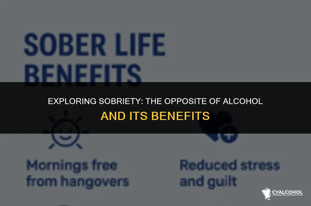 what is the opposite of alcohol
