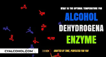 Alcohol Dehydrogenase Enzyme: Best Temperature for Activity