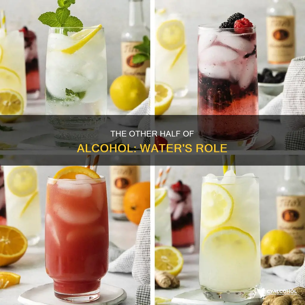 what is the other half of alcohol that isn