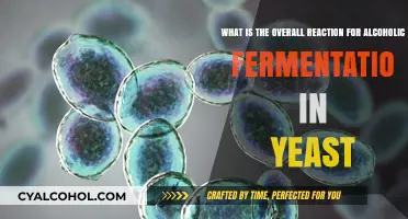 Yeast's Alcoholic Fermentation: A Complex Chemical Reaction