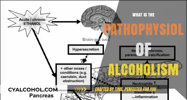 Unraveling the Complex Pathophysiology of Alcoholism: A Deep Dive