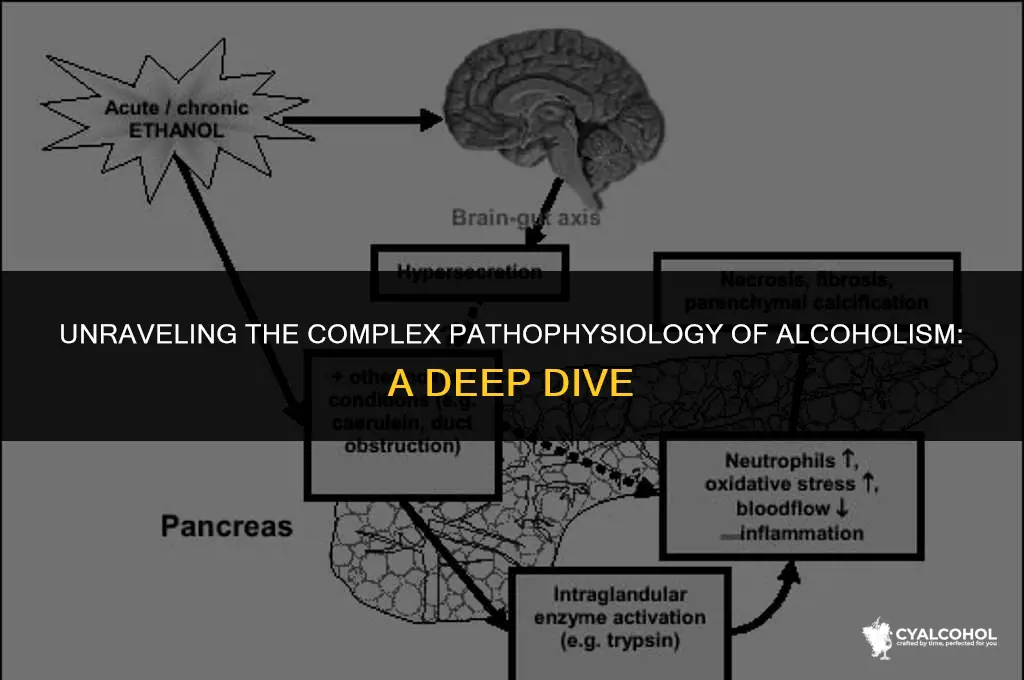 what is the pathophysiology of alcoholism