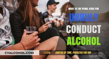 Unruly Conduct and Alcohol: Understanding the Legal Penalties