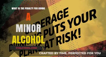 Underage Drinking: The Legal Consequences for Providers