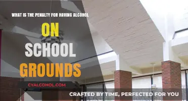 Alcohol on School Grounds: Understanding the Legal Consequences