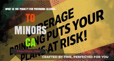 Penalties for Providing Alcohol to Minors in California