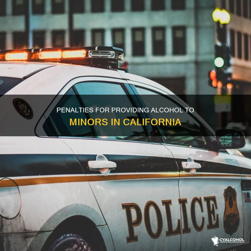 what is the penalty for providing alcohol to minors ca