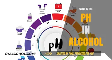 Exploring the Acidity: Understanding the pH Level in Alcohol