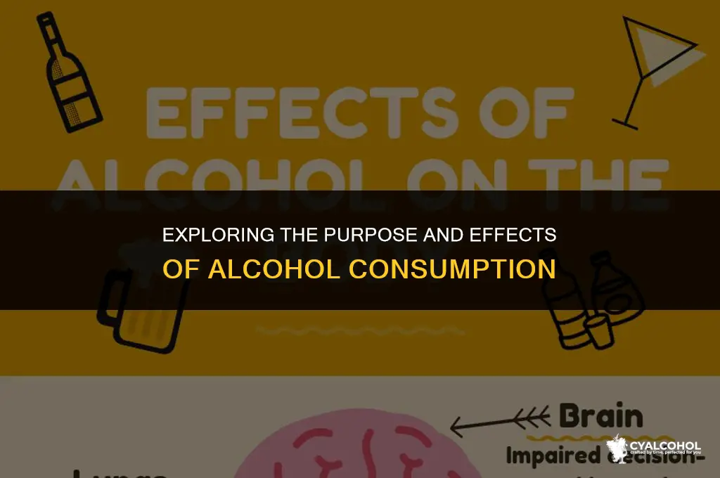 what is the point of alcohol