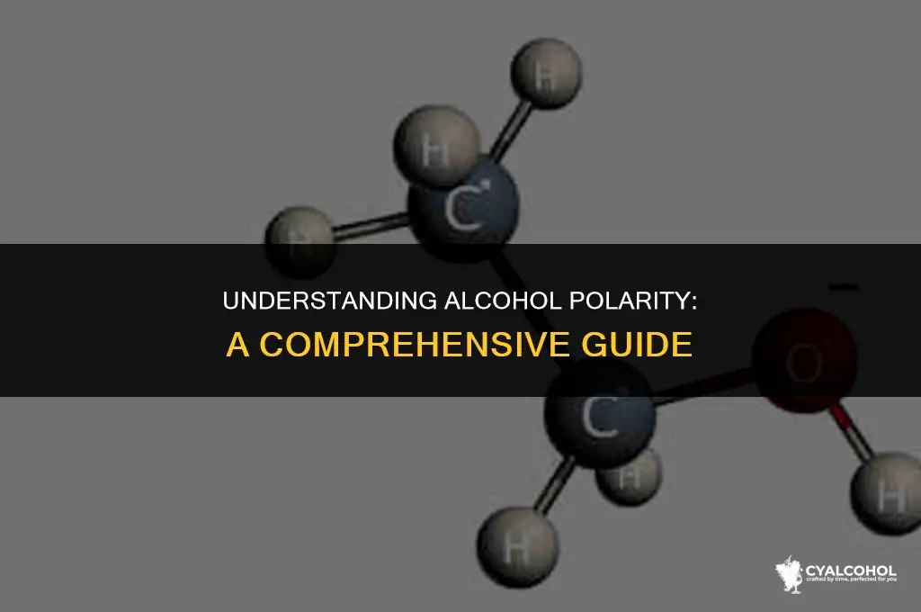 what is the polarity of alcohol