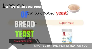 How Much Alcohol Can Bread Yeast Tolerate?