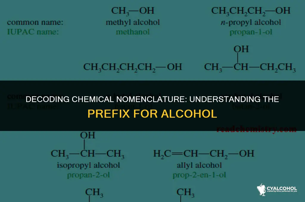 what is the prefix for alcohol