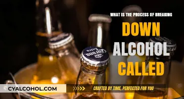 Understanding Alcohol Metabolism: Breaking Down the Process