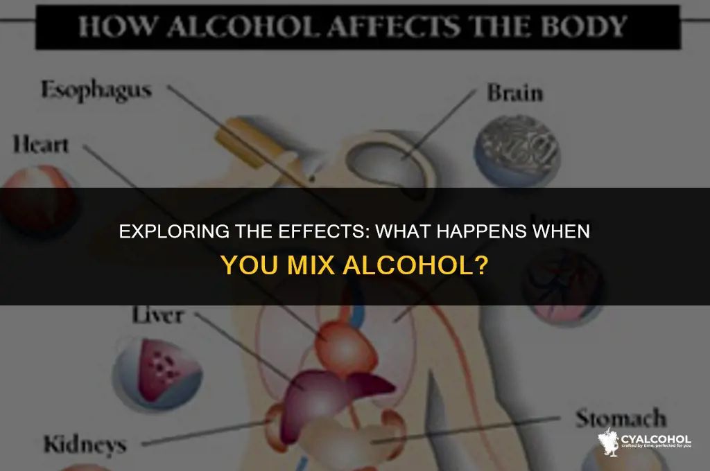 what is the product of alcohol