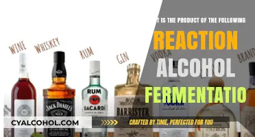 Fermentation Explained: Alcohol's Chemical Reaction