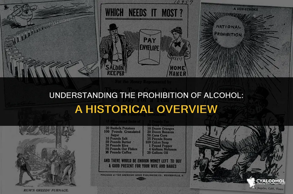 what is the prohibition of alcohol