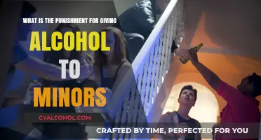 Punishments for Providing Alcohol to Minors