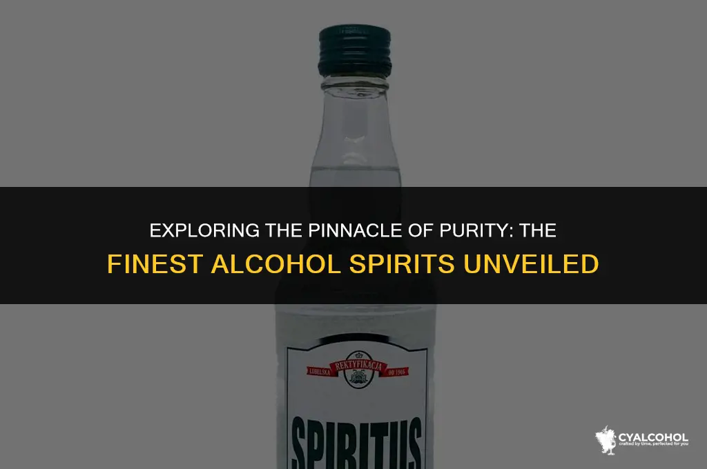 what is the purest alcohol spirit
