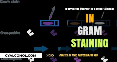 Why Acetone-Alcohol Blend is Key to Gram Staining