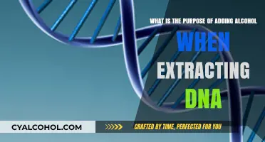 Alcohol's Role in DNA Extraction: Purity and Preservation