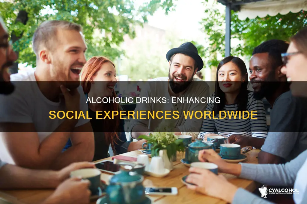 what is the purpose of alcohol beverages in wo