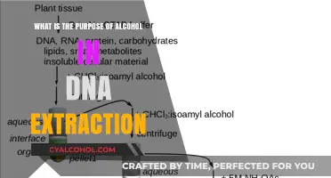 Alcohol's Role in DNA Extraction