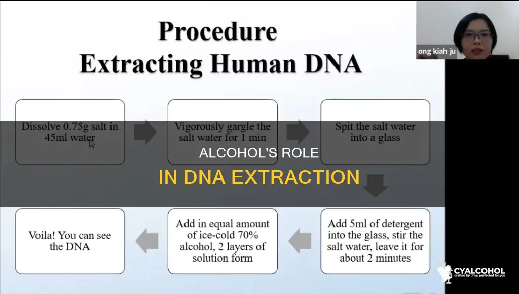 what is the purpose of alcohol in dna extraction