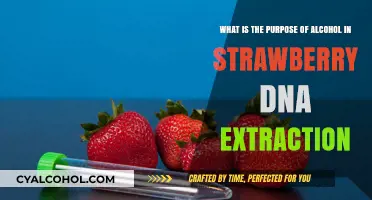 Alcohol's Role in Strawberry DNA Extraction