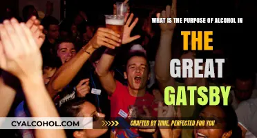 Alcohol's Role in The Great Gatsby Explained