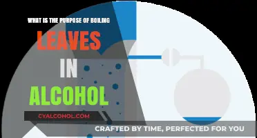 Boiling Leaves: Alcohol's Hidden Power