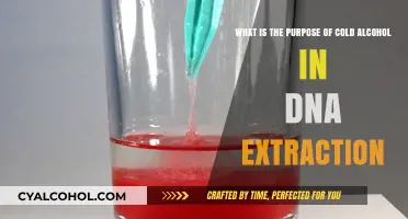 Cold Alcohol's Role in DNA Extraction