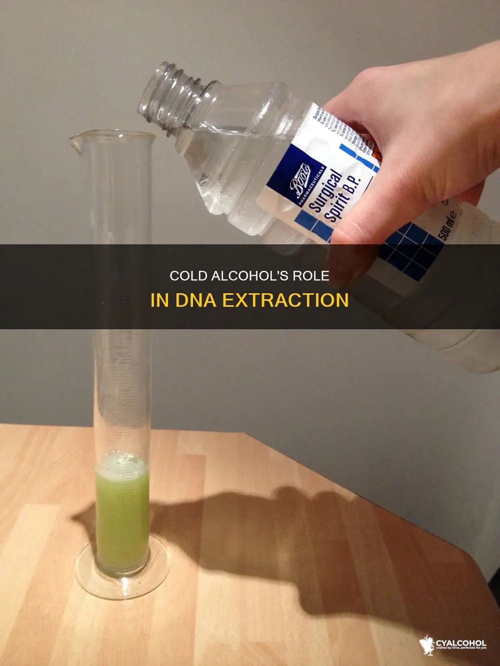 what is the purpose of cold alcohol in dna extraction