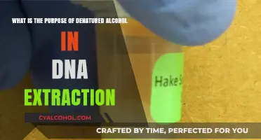 Denatured Alcohol: DNA Extraction's Secret Weapon