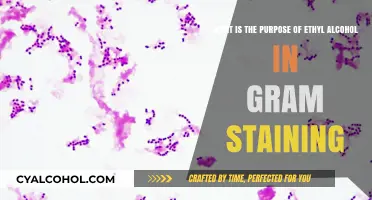 Why Ethyl Alcohol is Key to Gram Staining