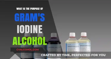 Iodine's Role in Sterilization and Disinfection