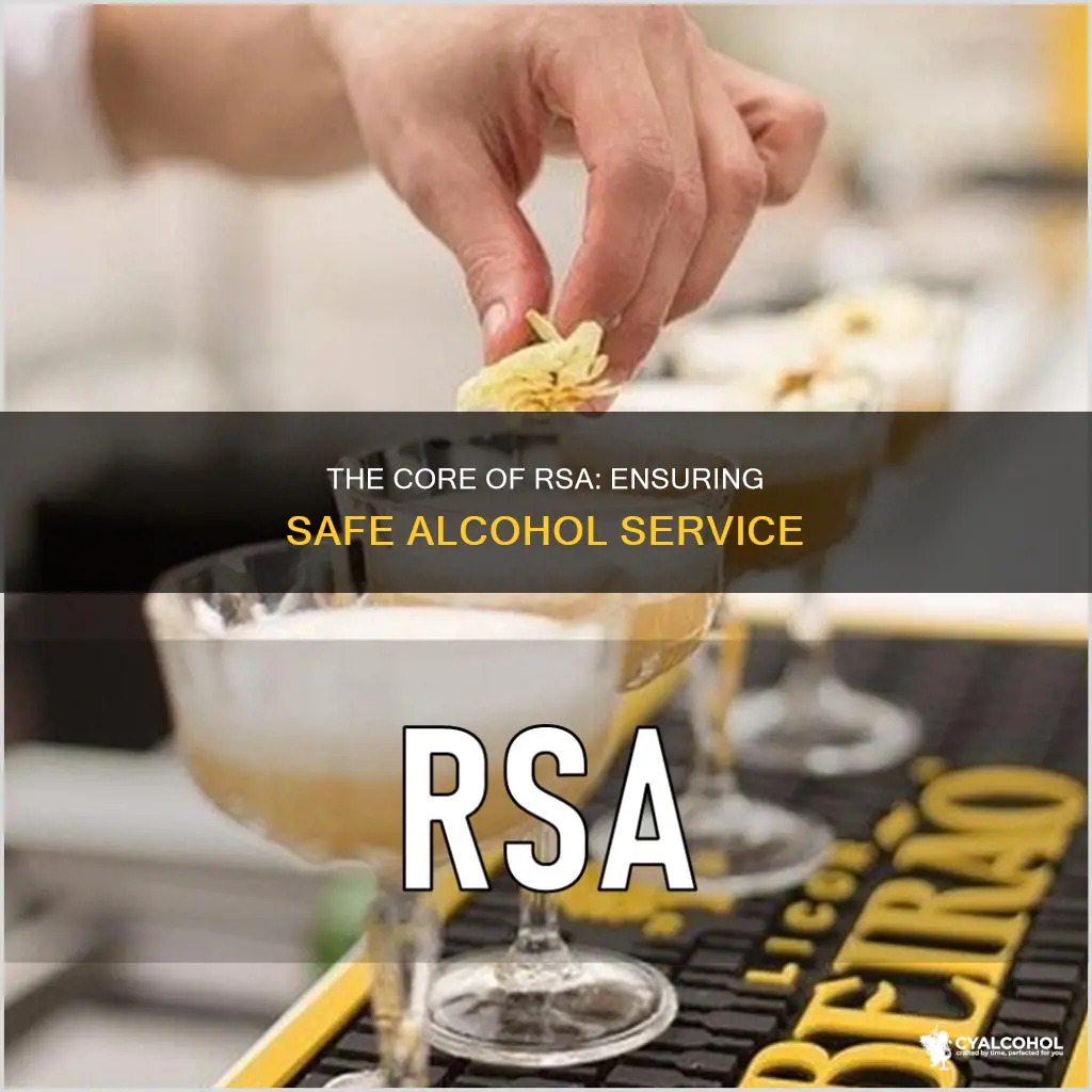 what is the purpose of responsible service of alcohol rsa